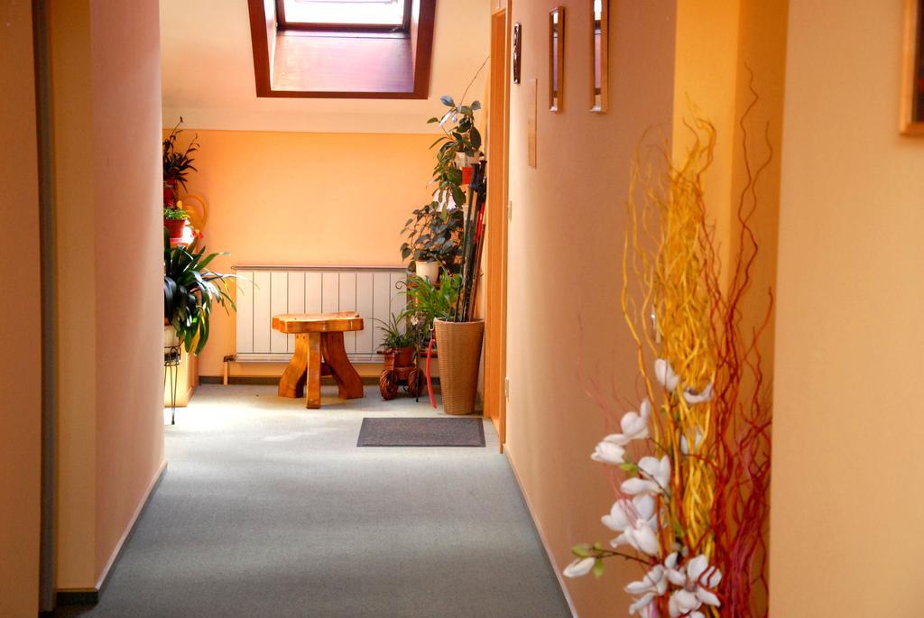 Fruehstueckspension Wiesenhaus Miesenbach  ภายนอก รูปภาพ