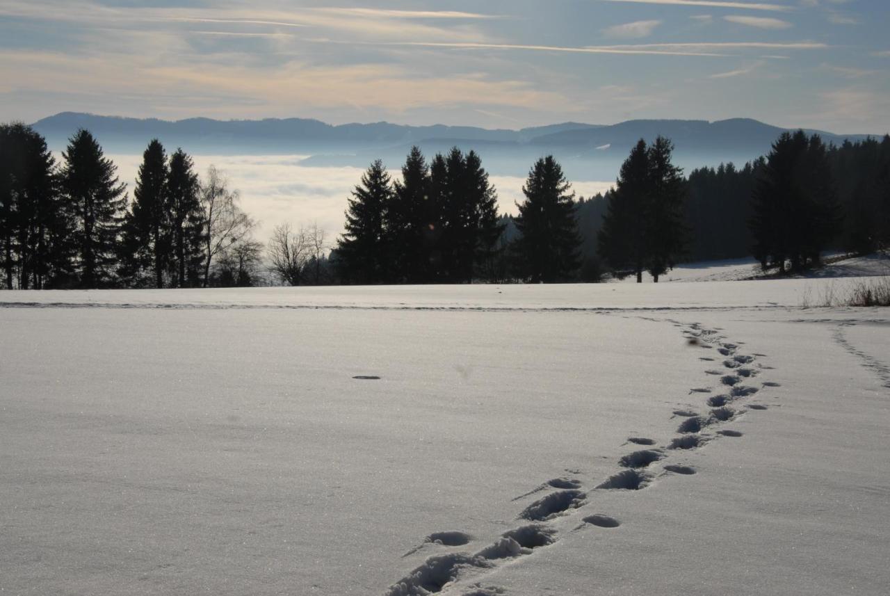 Fruehstueckspension Wiesenhaus Miesenbach  ภายนอก รูปภาพ